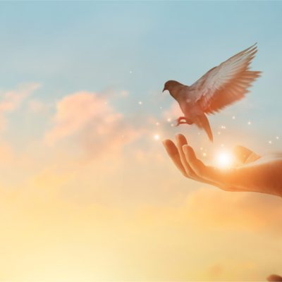 Restoring Hope, Rebuilding Lives: The Mission Behind Criminal Justice Reform